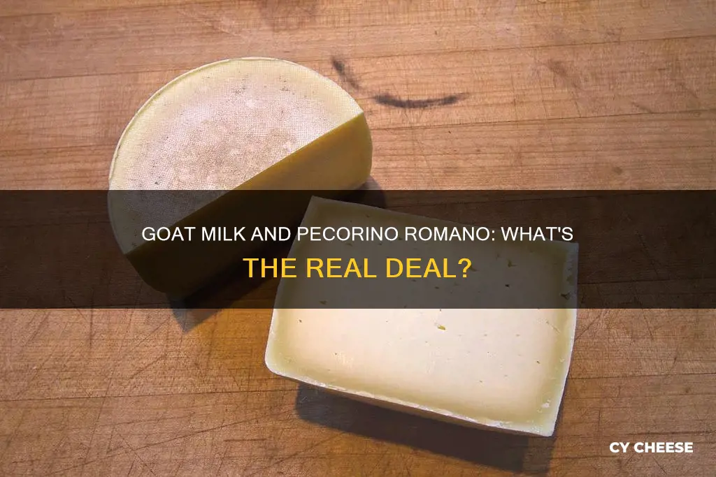 is pecorino romano cheese mage from goat milk