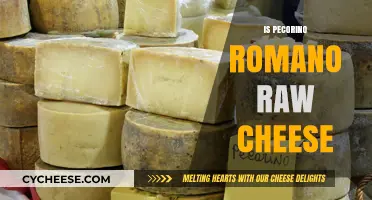 Is Pecorino Romano Raw Cheese? Unraveling the Truth Behind Its Production