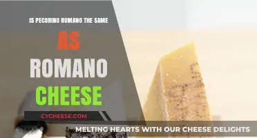 Pecorino Romano vs. Romano Cheese: Unraveling the Differences and Similarities