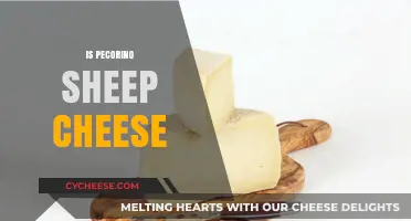 Is Pecorino Sheep Cheese? Unraveling the Origins of This Italian Delight