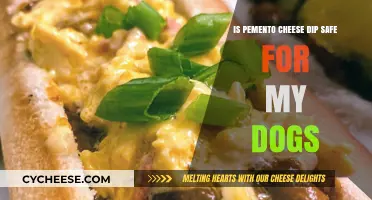 Is Pimento Cheese Dip Safe for Dogs? What Pet Owners Need to Know