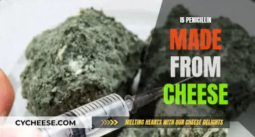 The Mystery Behind Penicillin and Cheese Unveiled