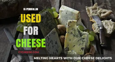 How Penicillin and Cheese Are Related