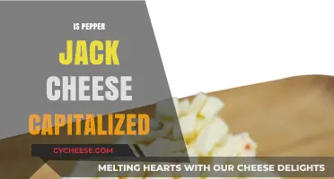 Is Pepper Jack Cheese Capitalized? A Grammar and Cheese Guide