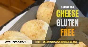 Gluten-Free Diet: Is Pepper Jack Cheese Safe?