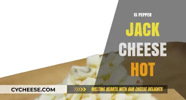 Is Pepper Jack Cheese Hot? Exploring Its Spicy Kick and Flavor