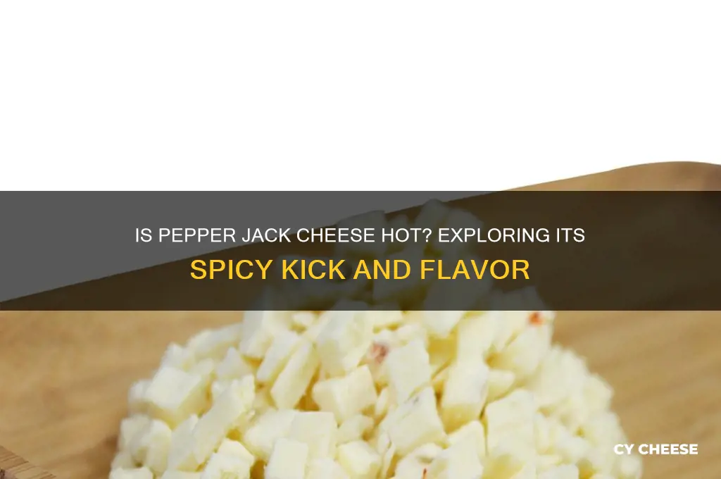 is pepper jack cheese hot