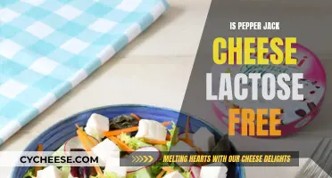 Pepper Jack Cheese: Lactose-Free or Not?