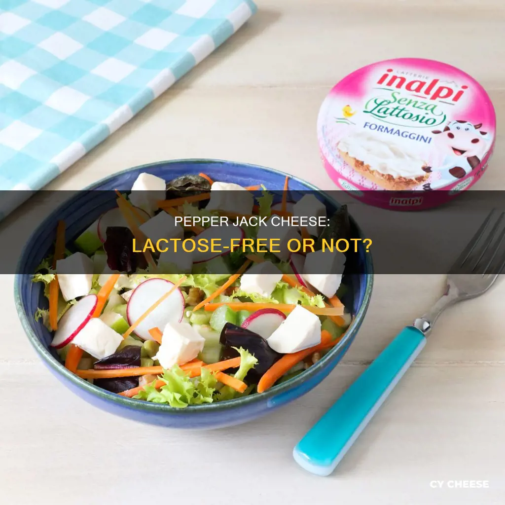 is pepper jack cheese lactose free