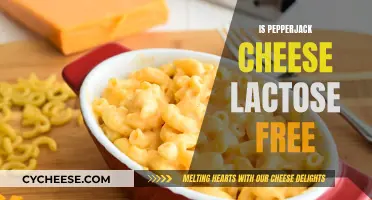 Pepperjack Cheese: Lactose-Free or Not?