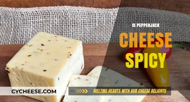 Is Pepperjack Cheese Spicy? Exploring Its Heat Level and Flavor Profile