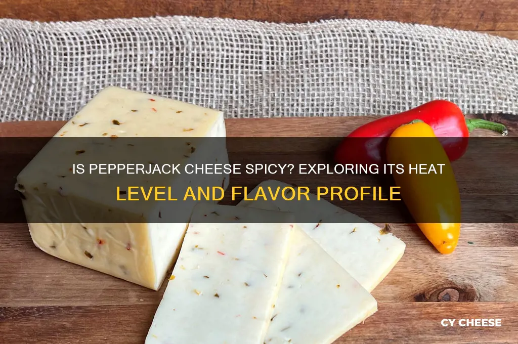 is pepperjack cheese spicy
