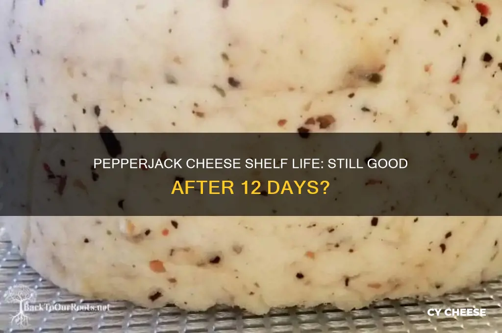 is pepperjack cheese still good after 12 days