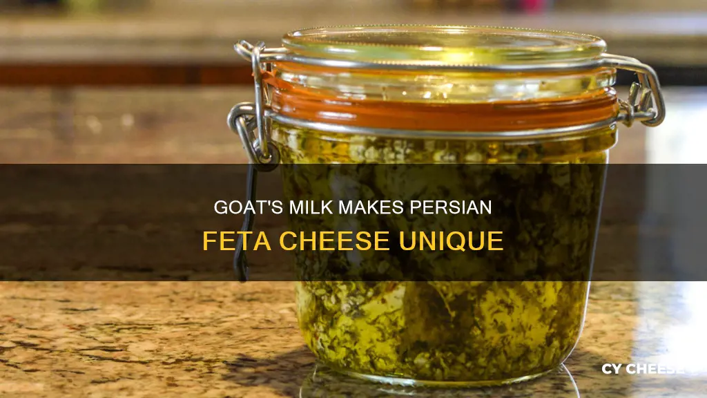 is persian feta goats cheese