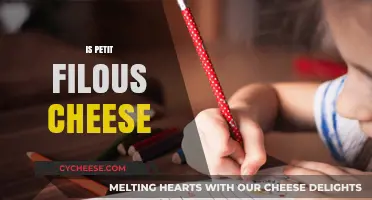 Is Petit Filous Cheese? Unraveling the Truth Behind This French Treat