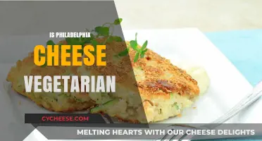 Is Philadelphia Cream Cheese Vegetarian? A Complete Guide for Vegans