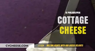 Is Philadelphia Cottage Cheese? Unraveling the Brand and Product Confusion