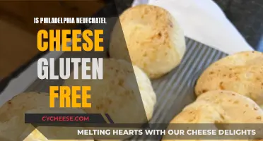 Gluten-Free Philadelphia: Neufchatel Cheese's Secret