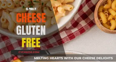 Gluten-Free Philly Cheese: What You Need to Know