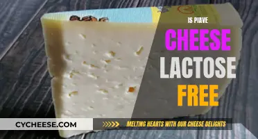 Piave Cheese and Lactose: What's the Deal?
