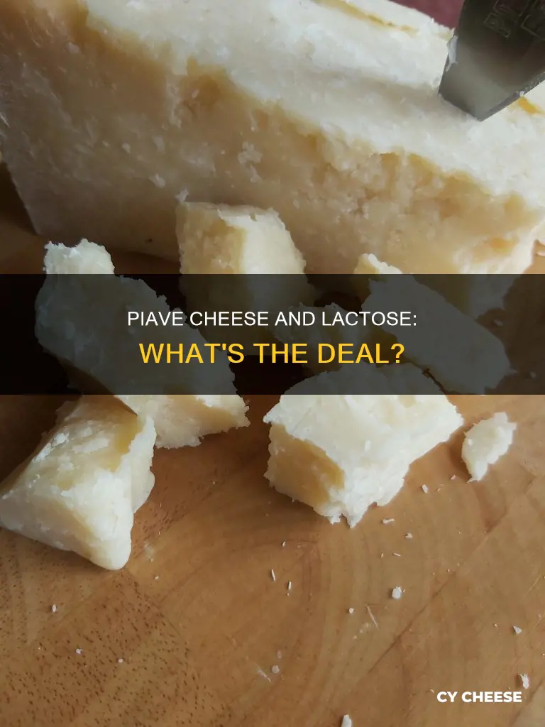 is piave cheese lactose free