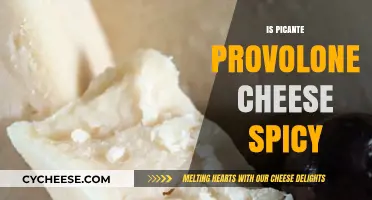 Is Picante Provolone Cheese Spicy? Exploring Its Heat and Flavor