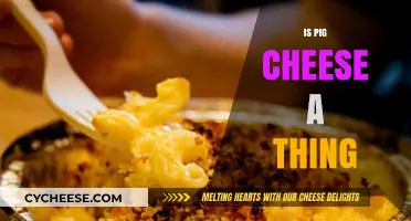 Is Pig Cheese Real? Unraveling the Myth of Pork-Based Dairy