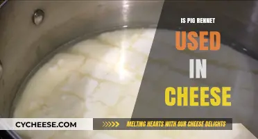 Cheese Rennet: What's the Source?