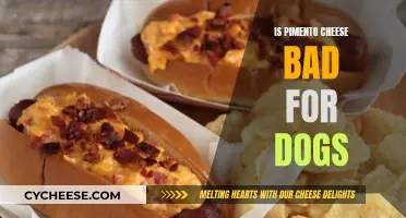 Pimento Cheese: Safe or Not for Dogs?