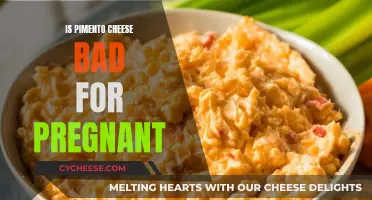 Pimento Cheese: Safe or Not During Pregnancy?