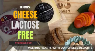 Pimento Cheese: Lactose-Free Comfort Food