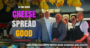 Is Pine River Cheese Spread Worth the Hype? A Tasty Review