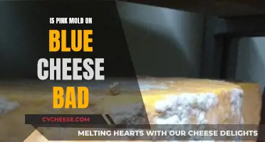 Is Pink Mold on Blue Cheese Safe to Eat?
