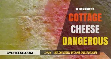 Is Pink Mold on Cottage Cheese Dangerous? Facts and Risks