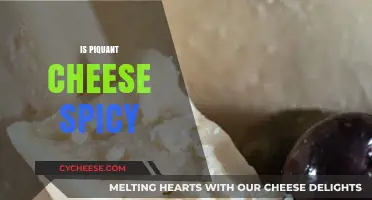 Is Piquant Cheese Spicy? Exploring Its Tangy, Peppery Flavor Profile