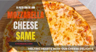 Mozzarella and Pizza Cheese: What's the Difference?