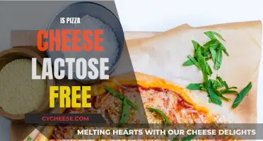 Pizza and Cheese: Unveiling the Lactose-Free Truth