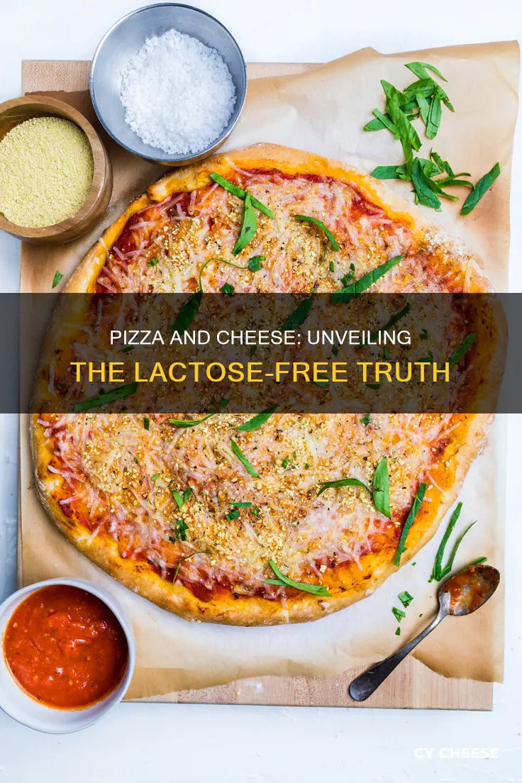 is pizza cheese lactose free