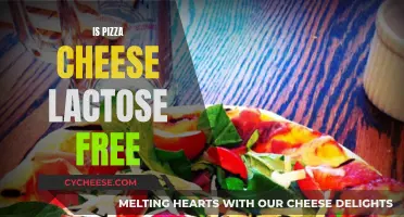 Cheese and Lactose: Is Pizza Cheese Lactose-Free?