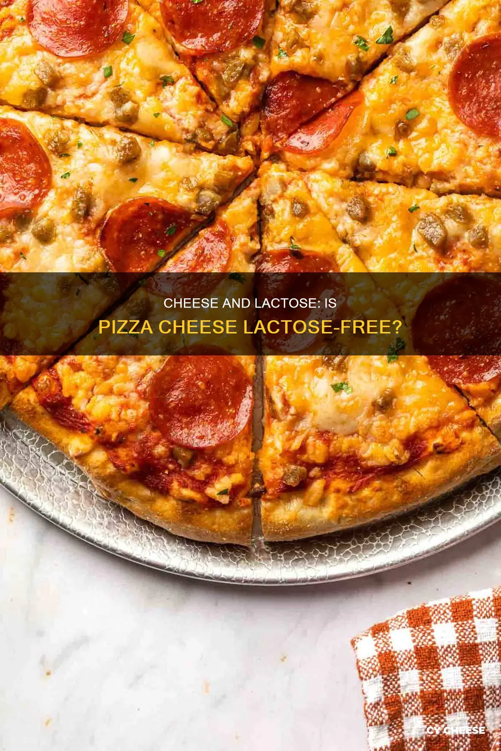 is pizza cheese lactose free