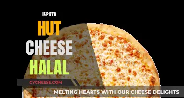 Pizza Hut Cheese: Halal or Not?