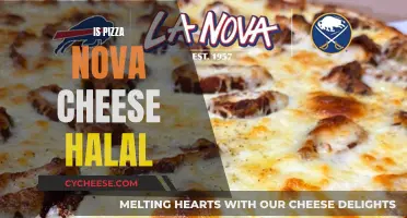 Pizza Nova's Halal Cheese: A Tasty, Ethical Choice