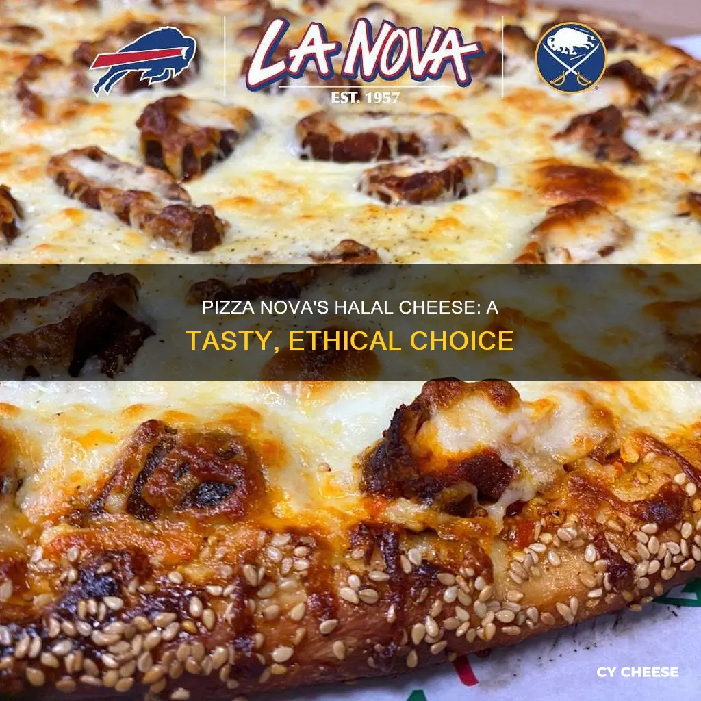 is pizza nova cheese halal