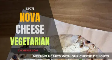 Pizza Nova's Cheesy Dilemma: Is It Vegan-Friendly?