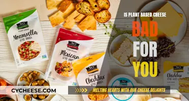 Plant-Based Cheese: Healthy or Hype?
