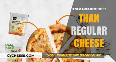 Plant-Based vs. Regular Cheese: Which is Healthier and Tastier?