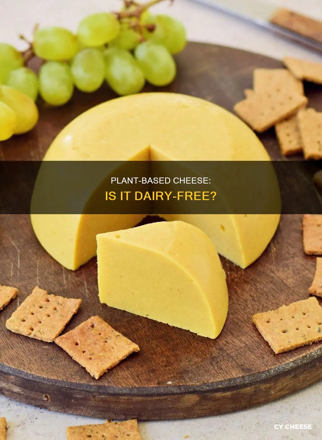 is plant based cheese dairy free