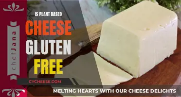 Plant-Based Cheese: Gluten-Free Option?