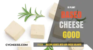 Is Plant-Based Cheese Good? A Tasty, Healthy Alternative Explored