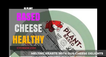Plant-Based Cheese: Healthy or Hype?